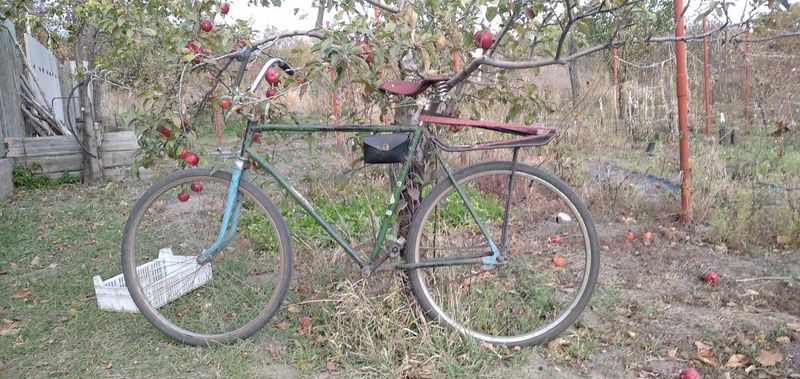 A green-blue KhVZ Ukraine bicycle standing next to an apple tree