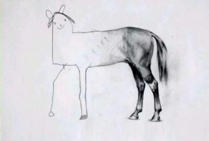 The Unfinished Horse Drawing meme where the back half of the horse is incredibly detailed and beautiful, while the front part is a wonky and naive unfinished sketch. Regardless of its qualities, there's no doubt it's an actual horse.